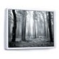 Black and White Foggy Forest Canvas Wall Art