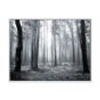 Black and White Foggy Forest Canvas Wall Art