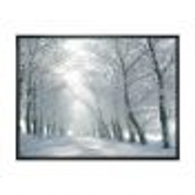 Winter Road Backlit my Morning Sun  Wall Art