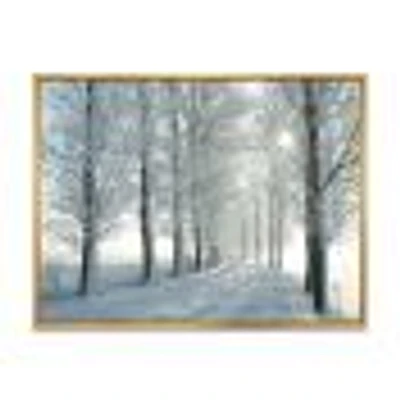 Winter Trees Backlit by Morning Sun  Wall Art