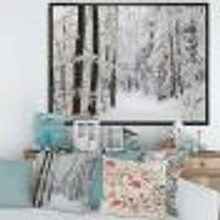 Dense Winter Forest and Lane  Wall Art