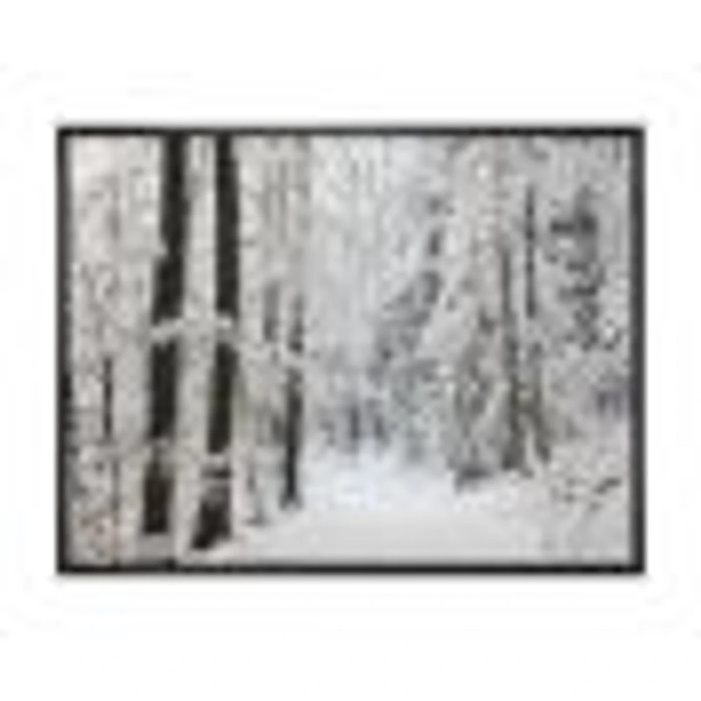 Dense Winter Forest and Lane  Wall Art