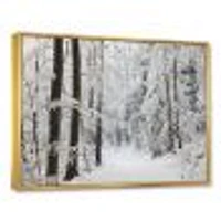 Dense Winter Forest and Lane  Wall Art