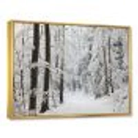 Toile « Dense Winter Forest and Lane