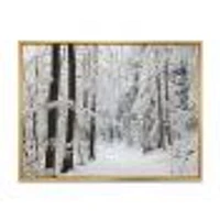 Dense Winter Forest and Lane  Wall Art