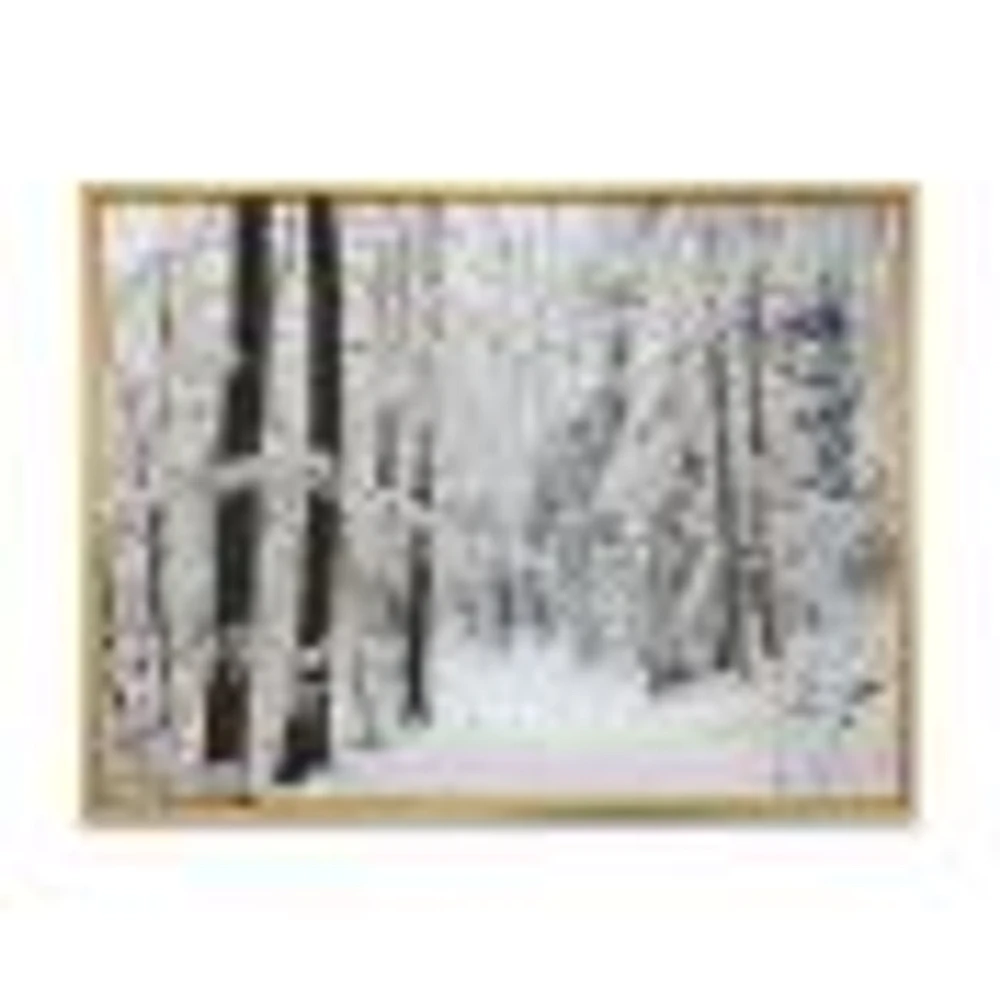 Toile « Dense Winter Forest and Lane