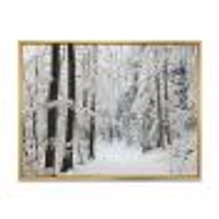 Dense Winter Forest and Lane  Wall Art