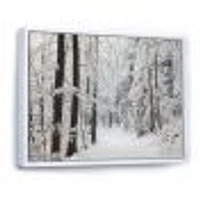 Dense Winter Forest and Lane  Wall Art