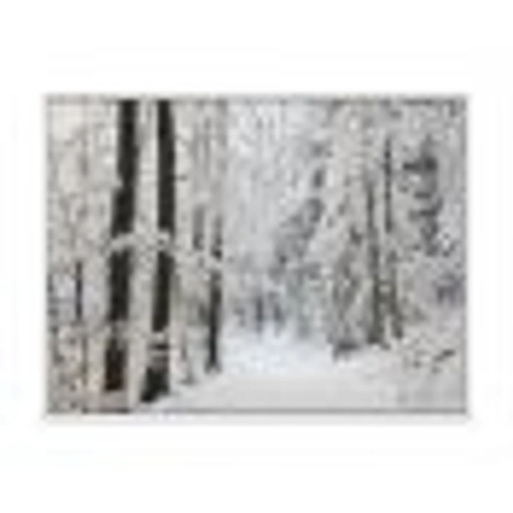 Dense Winter Forest and Lane  Wall Art