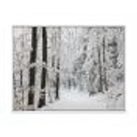 Dense Winter Forest and Lane  Wall Art