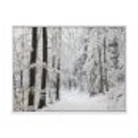 Toile « Dense Winter Forest and Lane