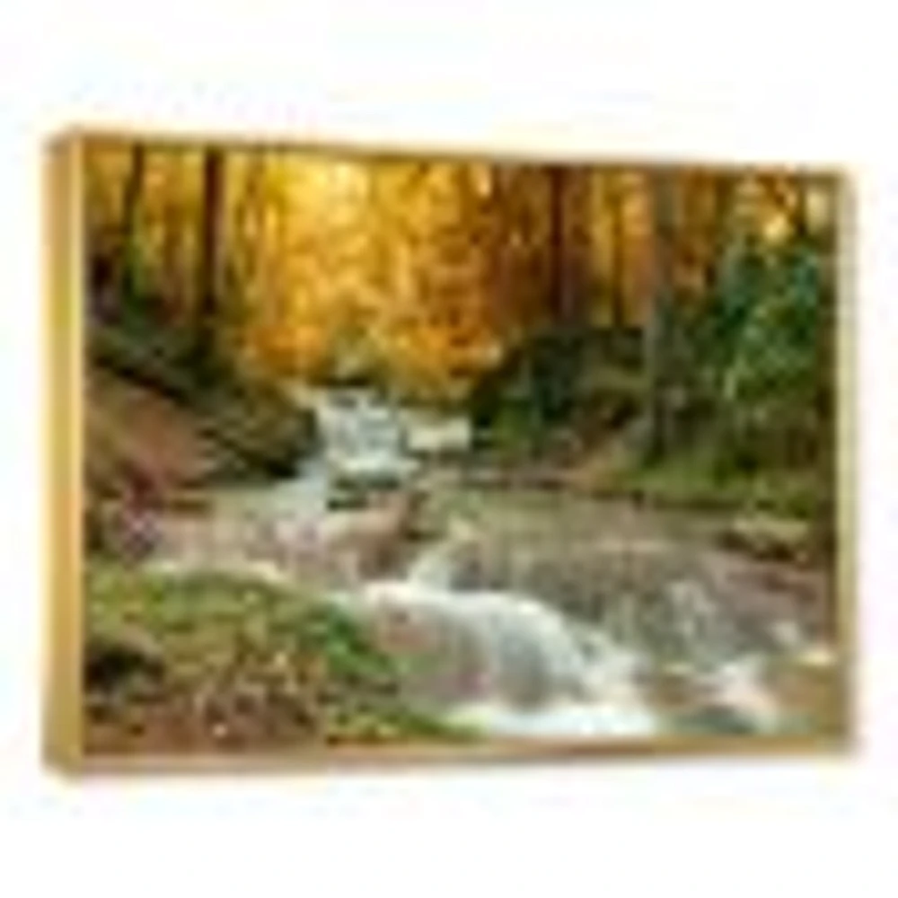 Forest Waterfall with Yellow Trees  Artwork Canvas Print