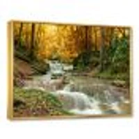 Forest Waterfall with Yellow Trees  Artwork Canvas Print