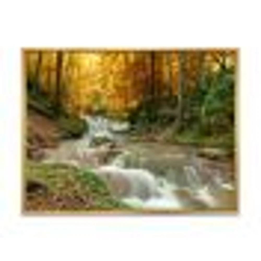 Forest Waterfall with Yellow Trees  Artwork Canvas Print