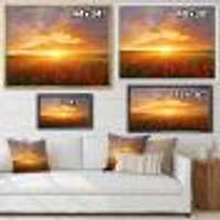 Poppy Field under Bright Sunset  Wall Art