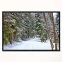 Snowy Road the Forest  Wall Art