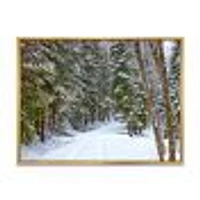 Snowy Road the Forest  Wall Art