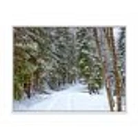 Snowy Road the Forest  Wall Art