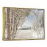 Lake Winter Woods  Wall Art