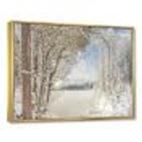 Lake Winter Woods  Wall Art