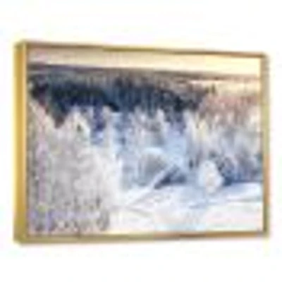 Beautiful Winter Panorama  Wall Art