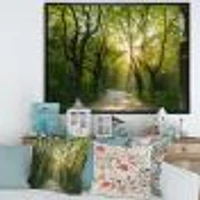 Toile  imprimée « Evening Green Forest »