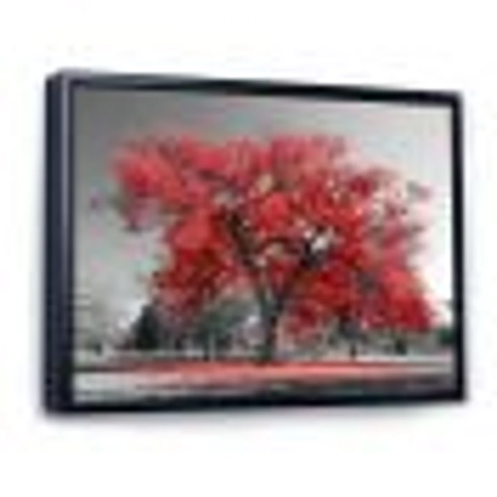 Toile  imprimée « Big Red Tree on Foggy Day »