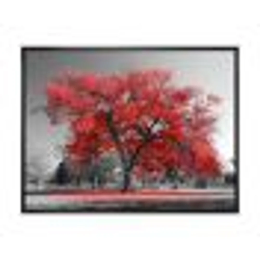 Toile  imprimée « Big Red Tree on Foggy Day »