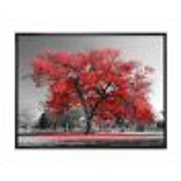 Toile  imprimée « Big Red Tree on Foggy Day »