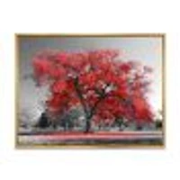 Toile  imprimée « Big Red Tree on Foggy Day »