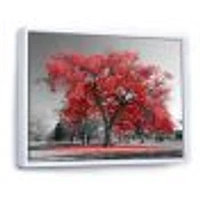 Toile  imprimée « Big Red Tree on Foggy Day »