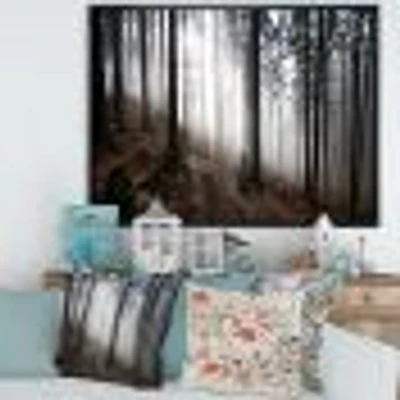 Misty Forest Morning Panorama  Wall Art