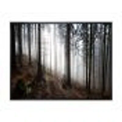 Misty Forest Morning Panorama  Wall Art