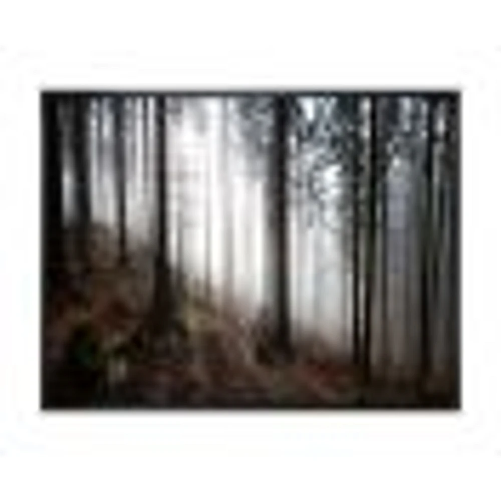 Toile « Misty Forest Morning Panorama