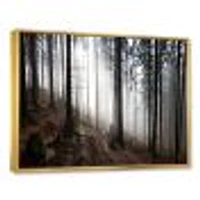 Toile « Misty Forest Morning Panorama