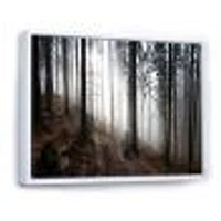 Toile « Misty Forest Morning Panorama