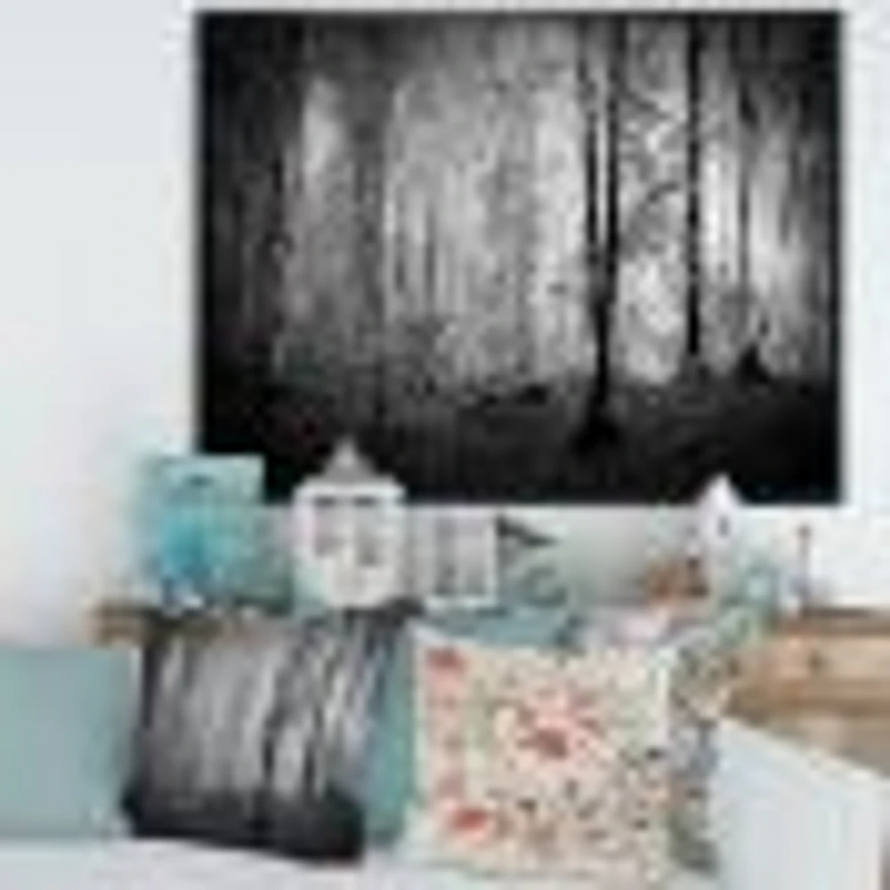 Toile  imprimée « Beautiful Forest Morning Panorama »