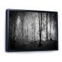 Toile  imprimée « Beautiful Forest Morning Panorama »