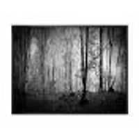 Toile  imprimée « Beautiful Forest Morning Panorama »