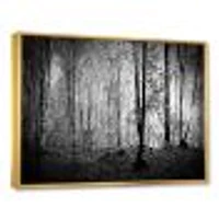 Toile  imprimée « Beautiful Forest Morning Panorama »