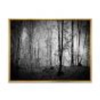 Toile  imprimée « Beautiful Forest Morning Panorama »