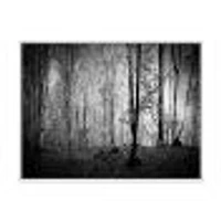 Toile  imprimée « Beautiful Forest Morning Panorama »