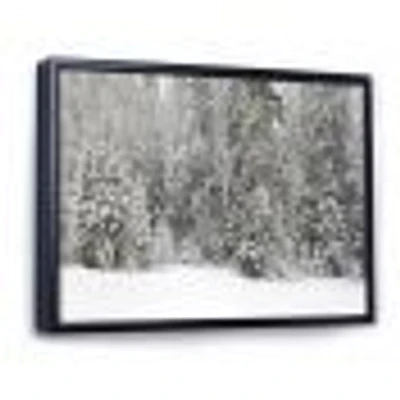 Foggy Winter Forest Panorama  Wall Art