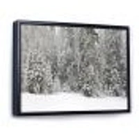 Toile « Foggy Winter Forest Panorama