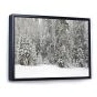 Toile « Foggy Winter Forest Panorama