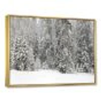 Toile « Foggy Winter Forest Panorama