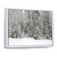 Toile « Foggy Winter Forest Panorama