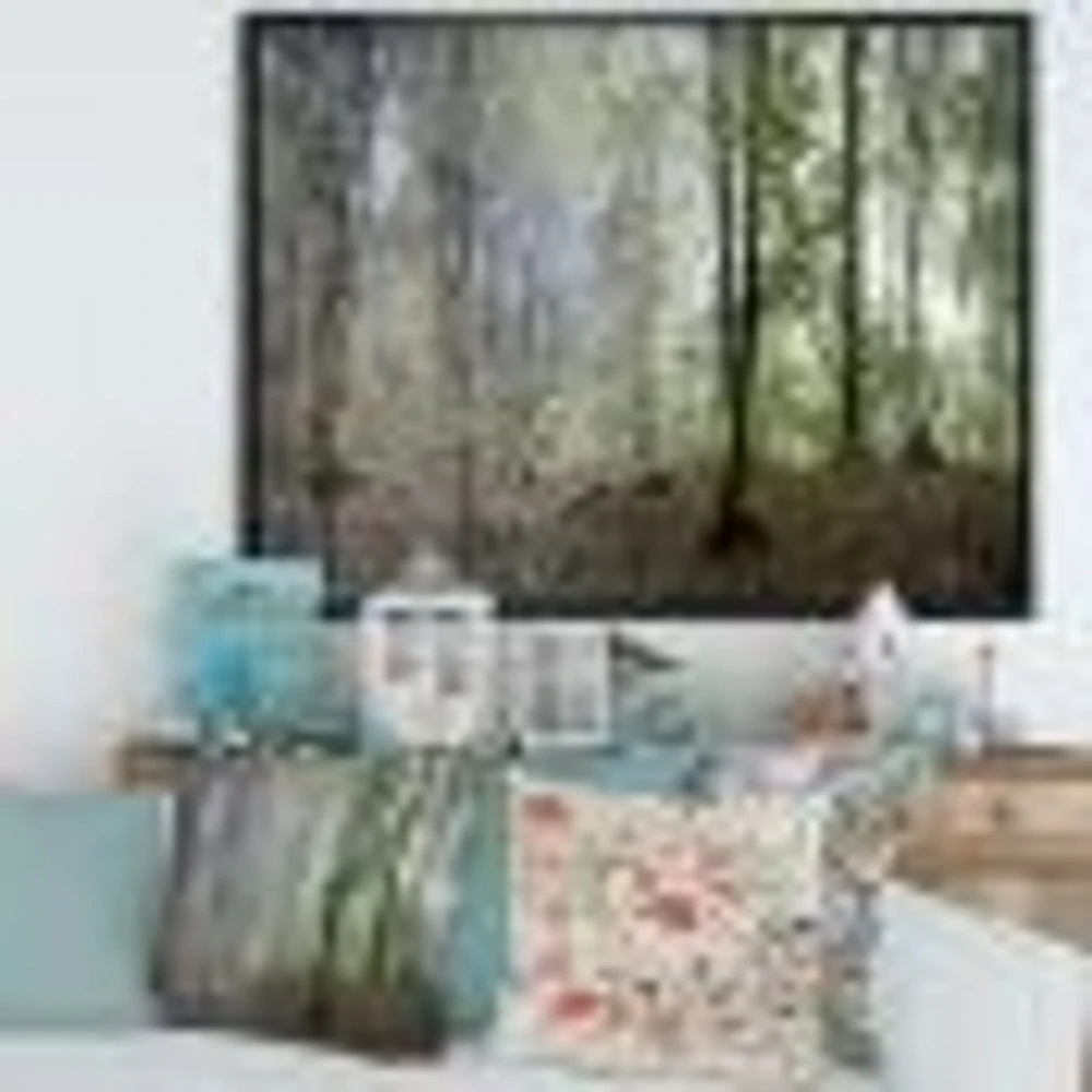 Green Morning Forest Panorama  Canvas Art Print