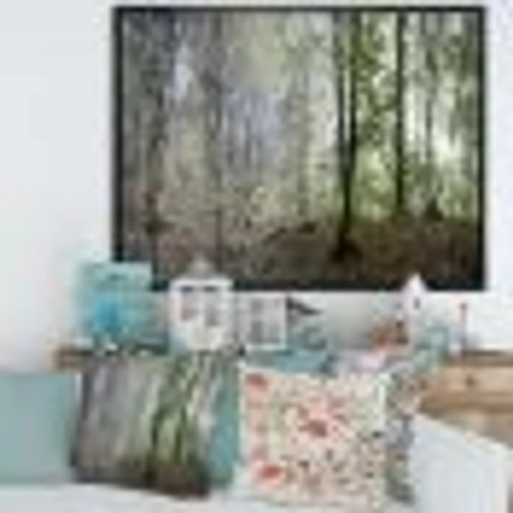 Green Morning Forest Panorama  Canvas Art Print
