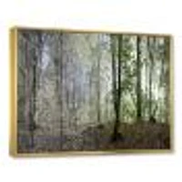 Green Morning Forest Panorama  Canvas Art Print